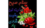 فال روزانه شخصی/ 9 تیر ماه + فیلم